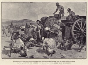 Kampagne i Sydafrika, et kapløb om kiks
